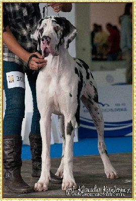 European Club Show 2010