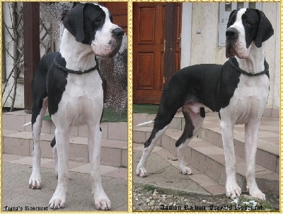 Aamon Ra nouvelle photo - 12,5 mois!