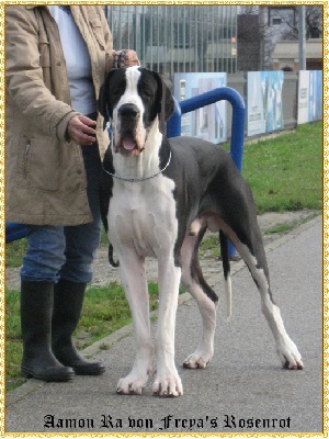  Aamon Ra nouvelle photo - 11 mois!