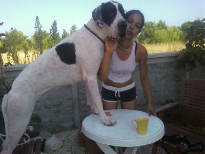 von Freya's Rosenrot